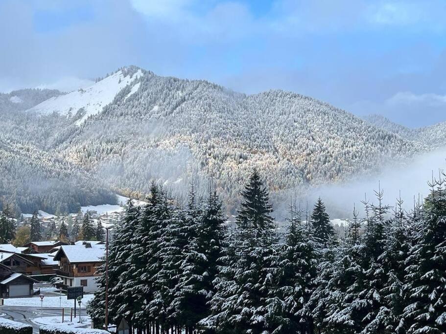 Les Chalets De Montriond B101 Экстерьер фото